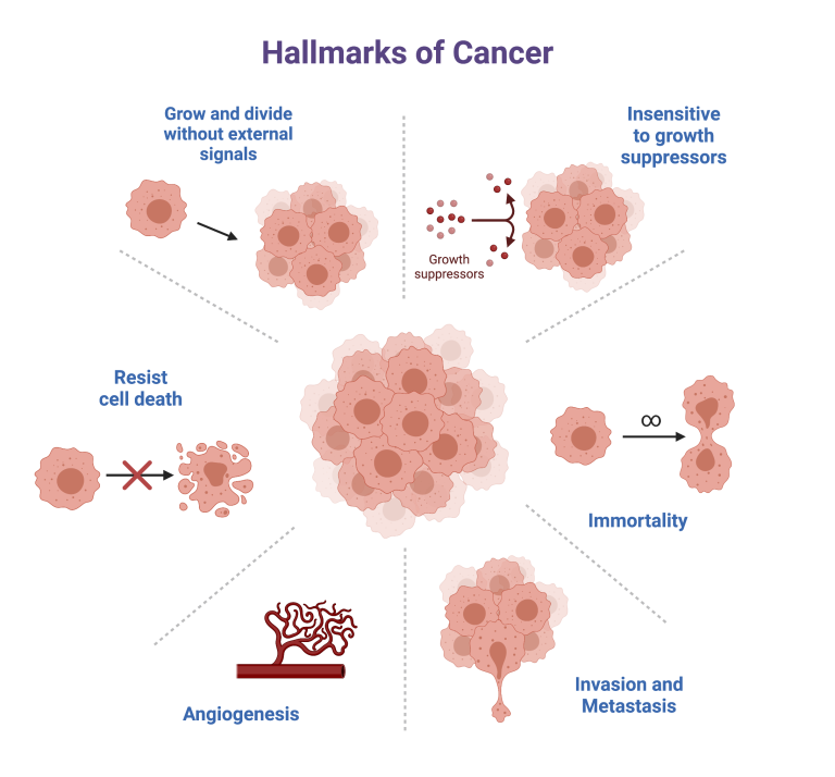 Cancer College Biology I