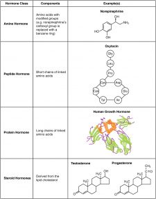 Types Of Cell Signaling College Biology I