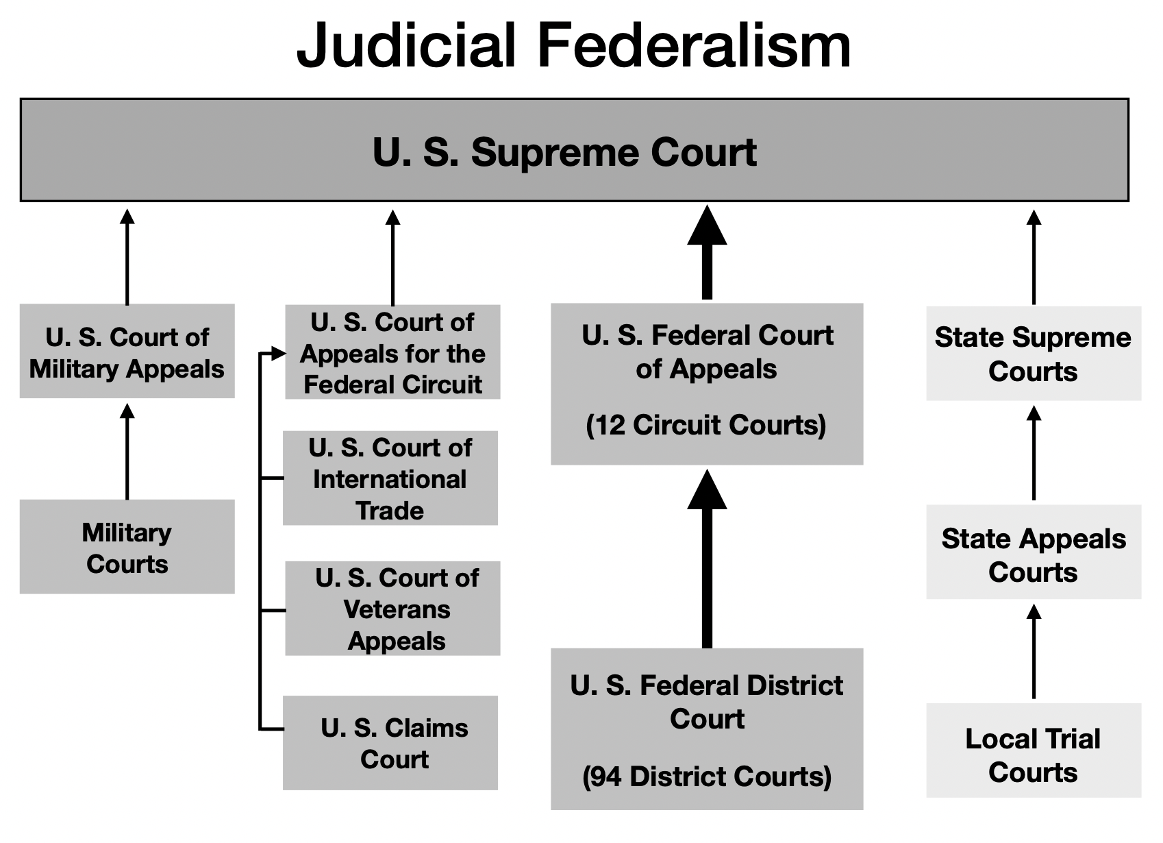 Chapter 32: Paths to the Supreme Court Attenuated Democracy
