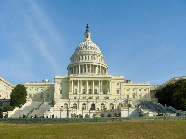 Chapter 22: How Congress Passes Legislation – Attenuated Democracy