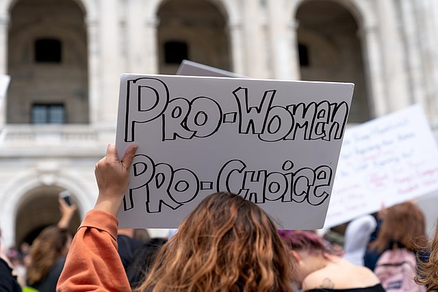 Pro Women Pro Choice Sign