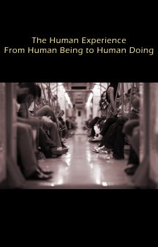 The Human Experience: From Human Being to Human Doing book cover