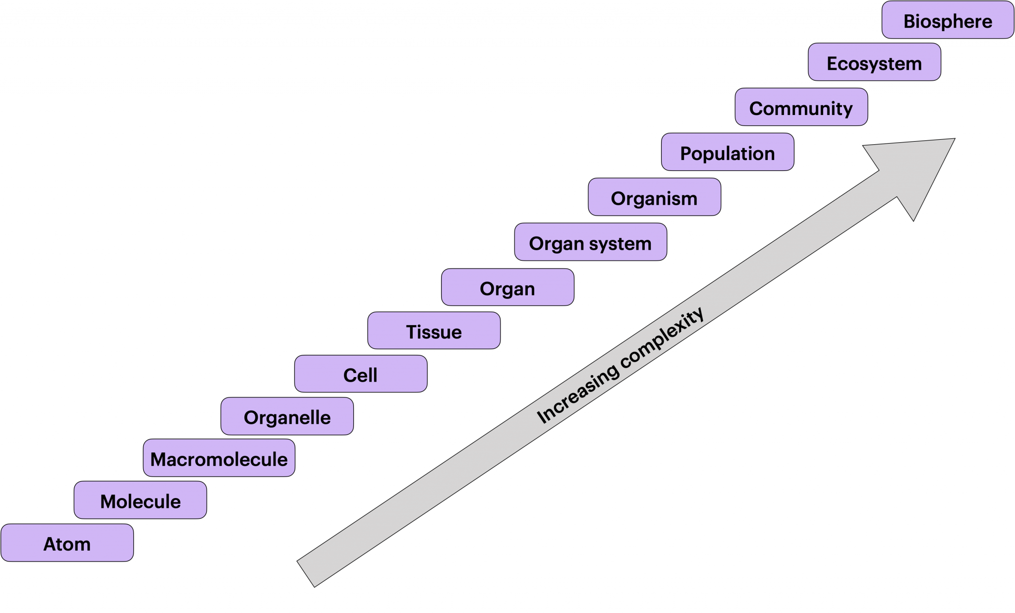 1.2 Levels of Biological Organization College Biology I