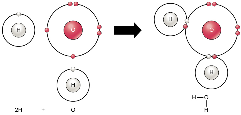 In the first image, an oxygen atom is shown with six valence electrons. Four of these valence electrons form pairs at the top and right sides of the valence shell. The other two electrons are alone on the bottom and left sides. A hydrogen atom sits next to each the lone electron of the oxygen. Each hydrogen has only one valence electron. An arrow indicates that a reaction takes place. After the reaction, in the second image, each unpaired electron in the oxygen joins an electron from one of the hydrogen atoms so that the valence rings are now connected together. The bond that forms between oxygen and hydrogen can also be represented by a dash.">