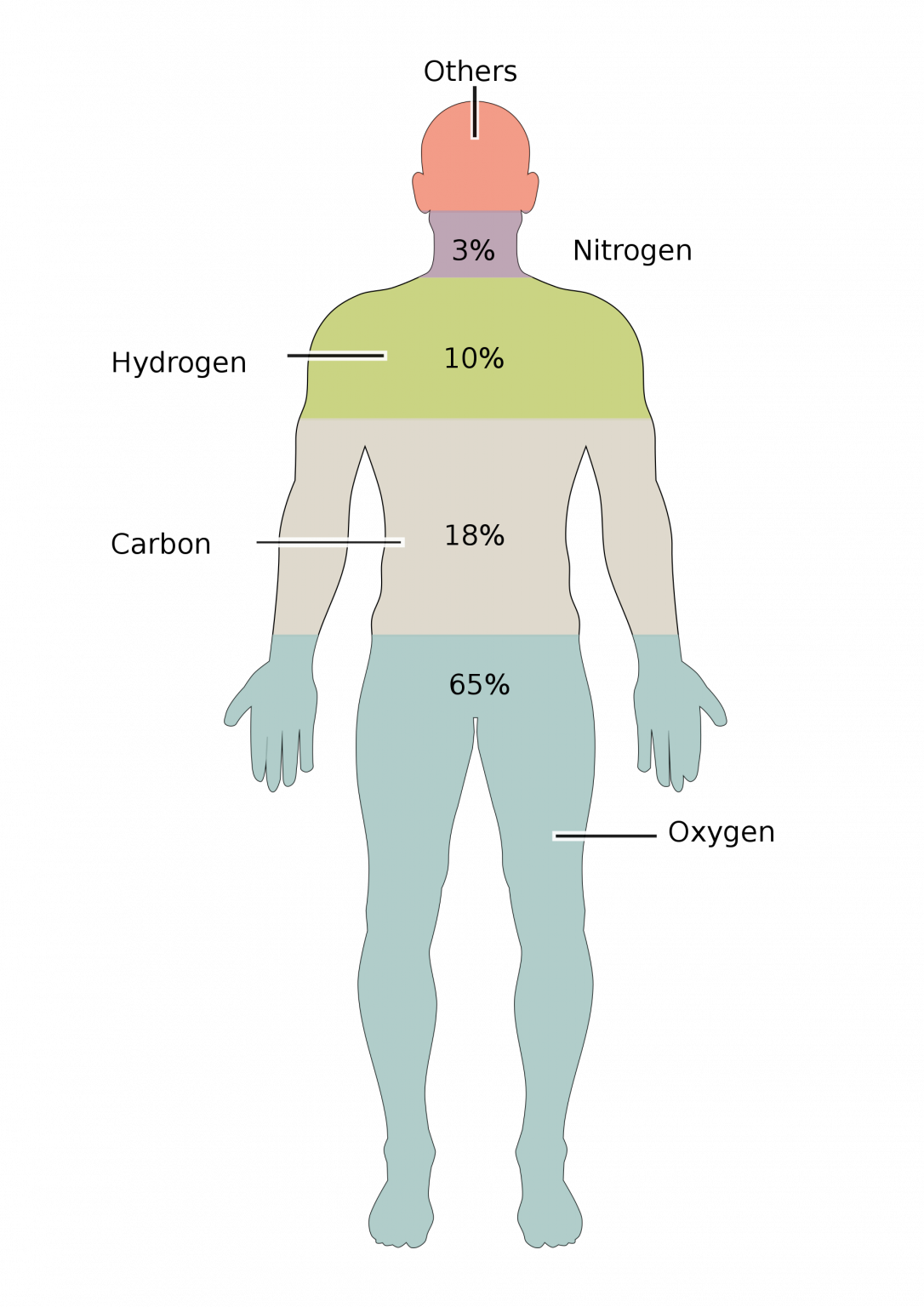 4 1 the composition of organisms college biology i