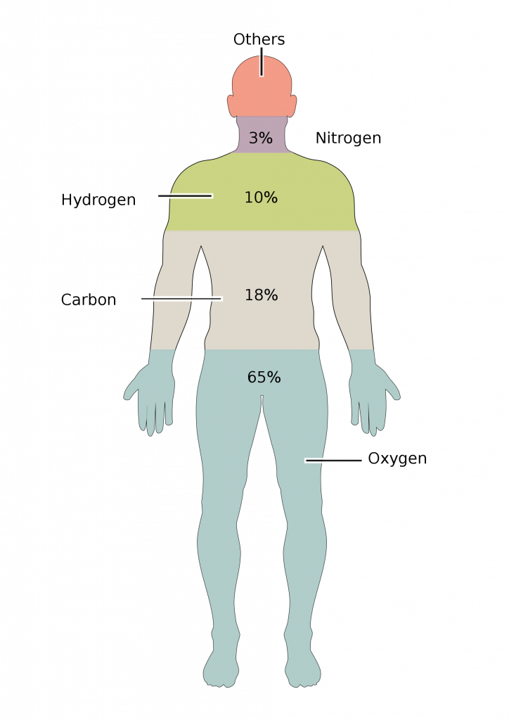 The elements that make up the human body and their percentages: oxygen (65%), carbon (18%), hydrogen (10%), nitrogen (3%), all others (4%).