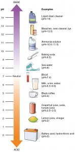 This figure shows a vertical arrow with the top half showing the basic scale and the bottom half showing the acidic scale. Different chemicals and their pH are also shown.