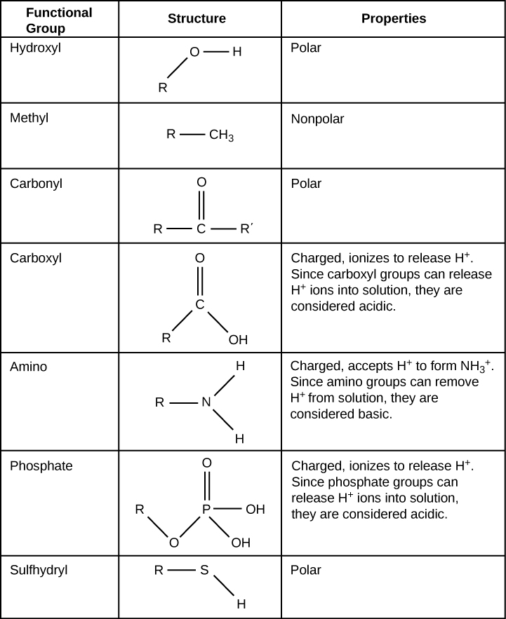 Table shows the structure and properties of different functional groups.