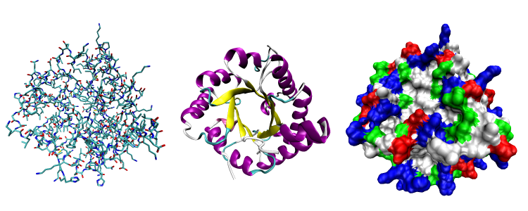 Three ways to represent the three-dimensional structure of a protein