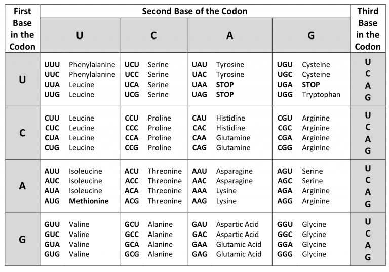 14.1 The Genetic Code – College Biology I