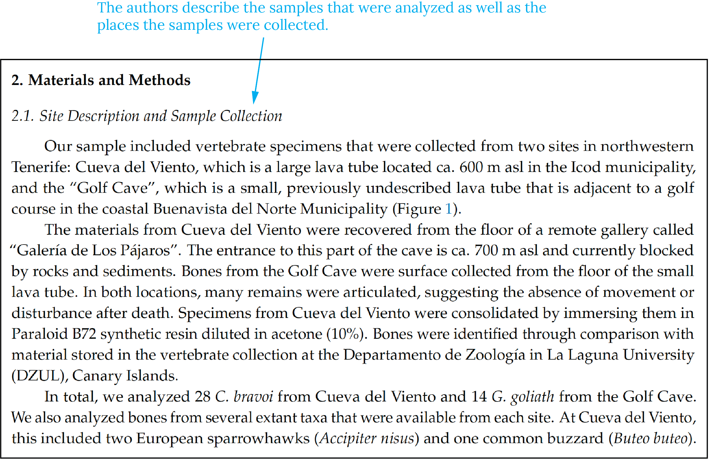 writing the methods section research