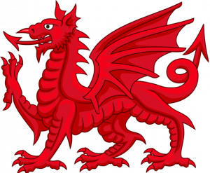 graphic representation of a red dragon