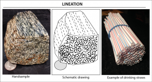 Lineation is aligned linear features in a rock. An example in the figure is a bundle of aligned straws.