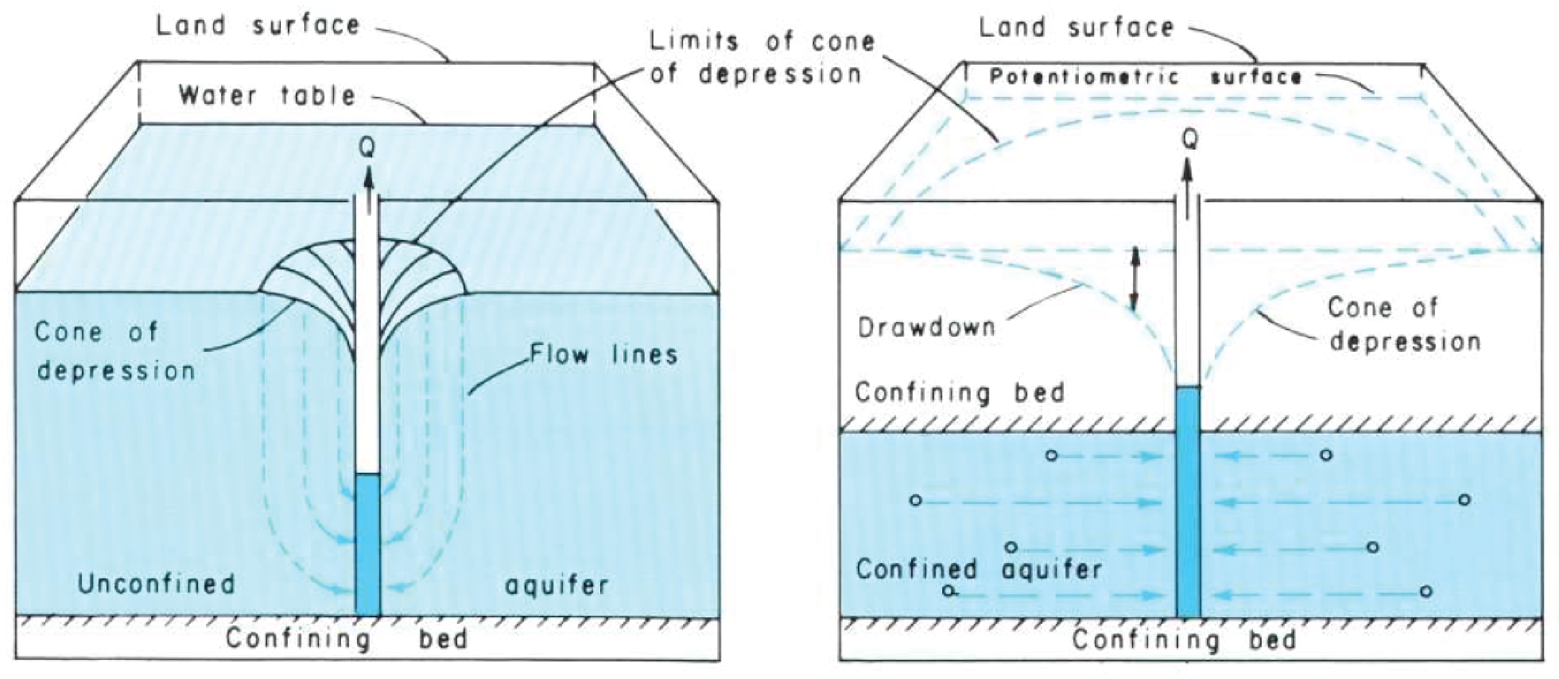 The shape of the potentiometric surface or water table around a pumping well is cone-shaped, where groundwater level has the greatest drawdown near the well.