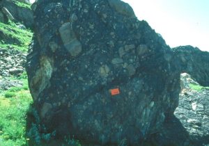 Very large boulder, dark in color, with smaller boulders &quot;floating&quot; inside of it.