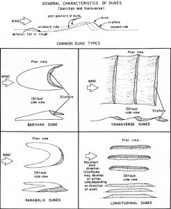 The chart has the way dunes are made and four dune types.