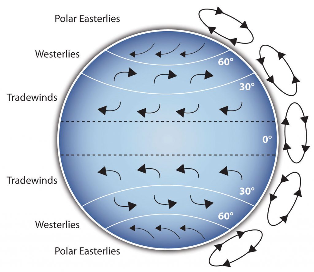 A circle representing the Earth, sectioned off from top to bottom into Polar Easterlies, Westerlies, and Tradewinds. Arrows are also drawn on the circle.