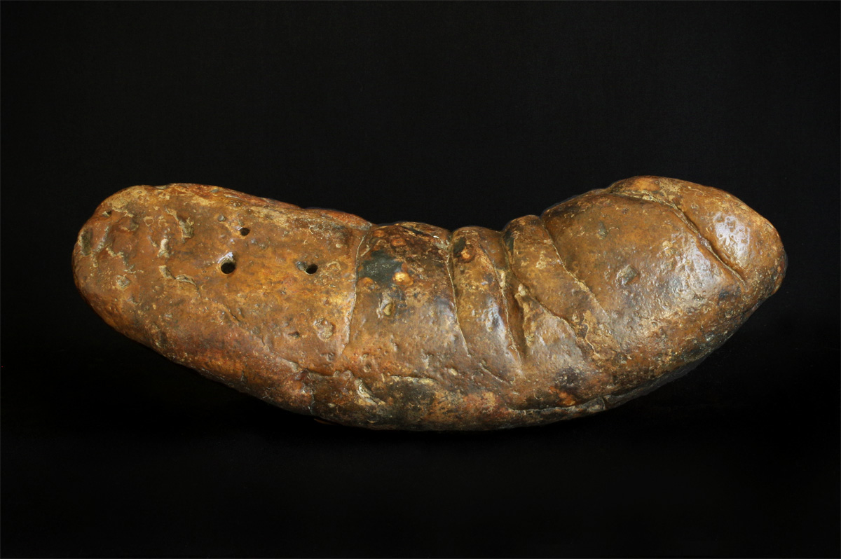 A photograph of a large, brown coprolite.