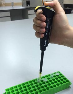 image of a hand pipetting a volume of liquid into a microcentrifuge tube, held in green rack.